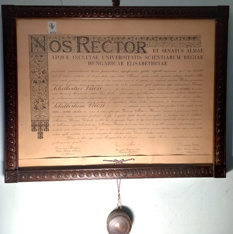 Dr. Váczi Béla orvosi diplomája (1944)